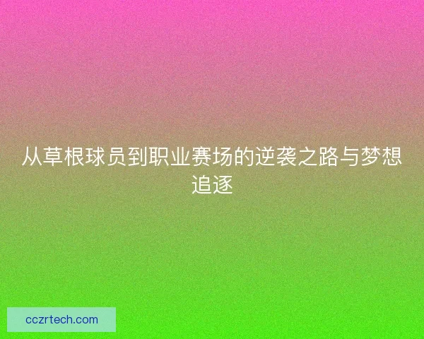 从草根球员到职业赛场的逆袭之路与梦想追逐